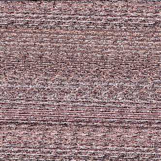 网红妹子@小新与他的幼猫 大尺度作品集[300P/1V/128M]（2）